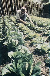 The Garden School teaches cooperation with nature.